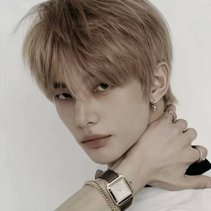 A moment captured by Hyunjin (Stray Kids)'s fan