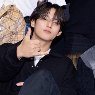 Recent activity shot of Mingyu (SEVENTEEN)