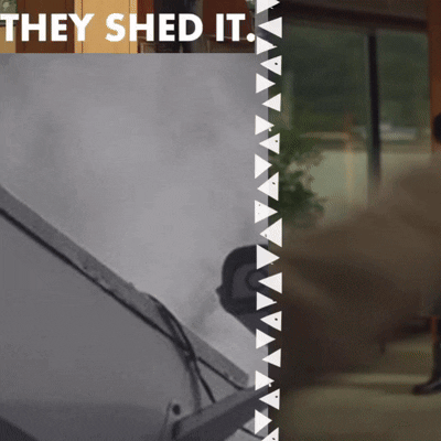 Latest photo of NCT DREAM