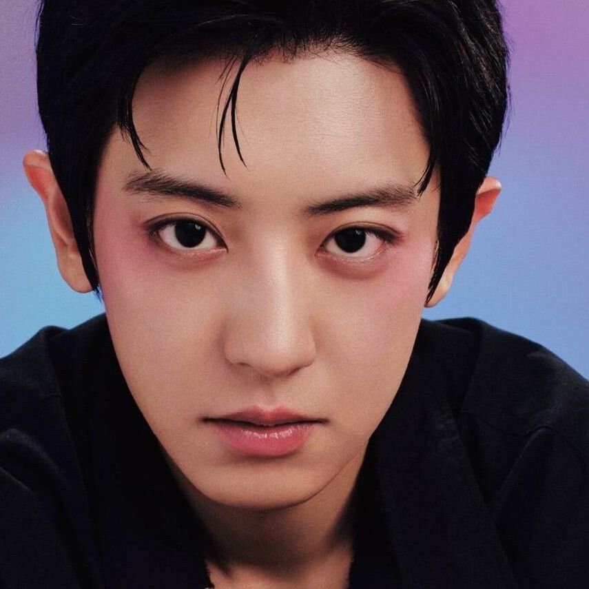 찬열 (EXO) 최근 활동샷