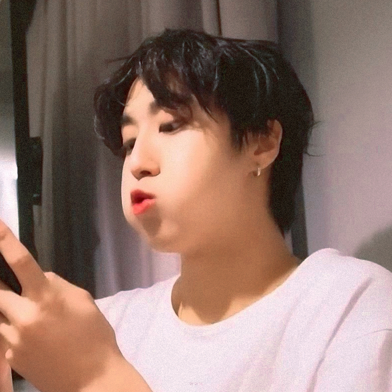 한 (Stray Kids) 팬이 찍은 순간