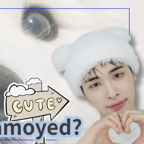 A moment captured by Haru (NEXZ)'s fan