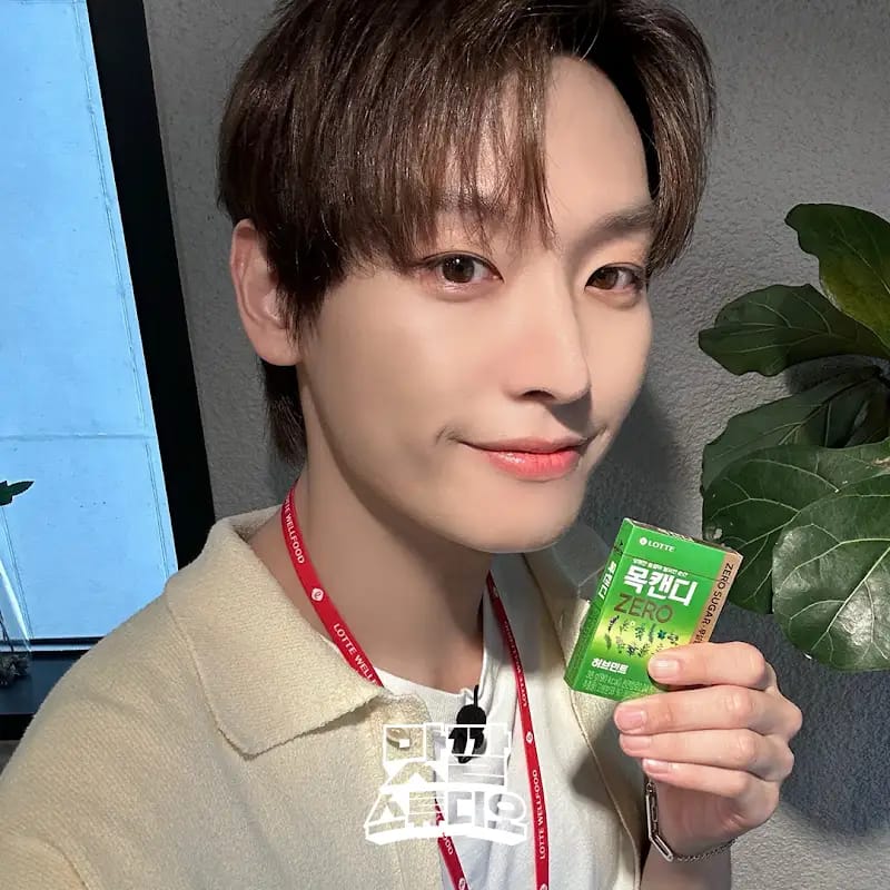 Recent activity shot of Inseong (SF9)