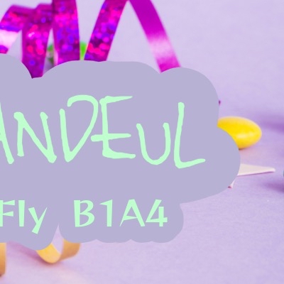 A moment captured by Sandeul (B1A4)'s fan
