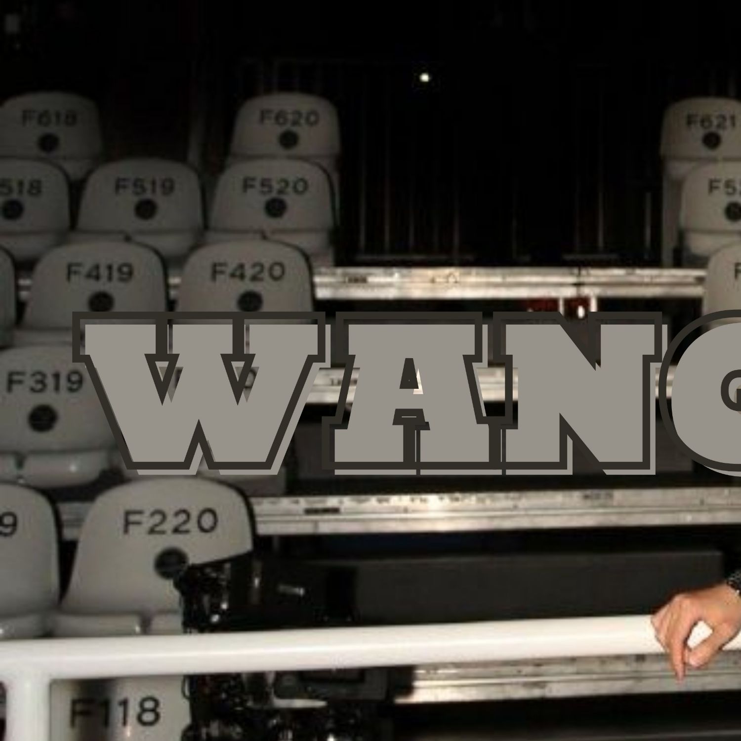 Recent activity shot of Wang Yibo