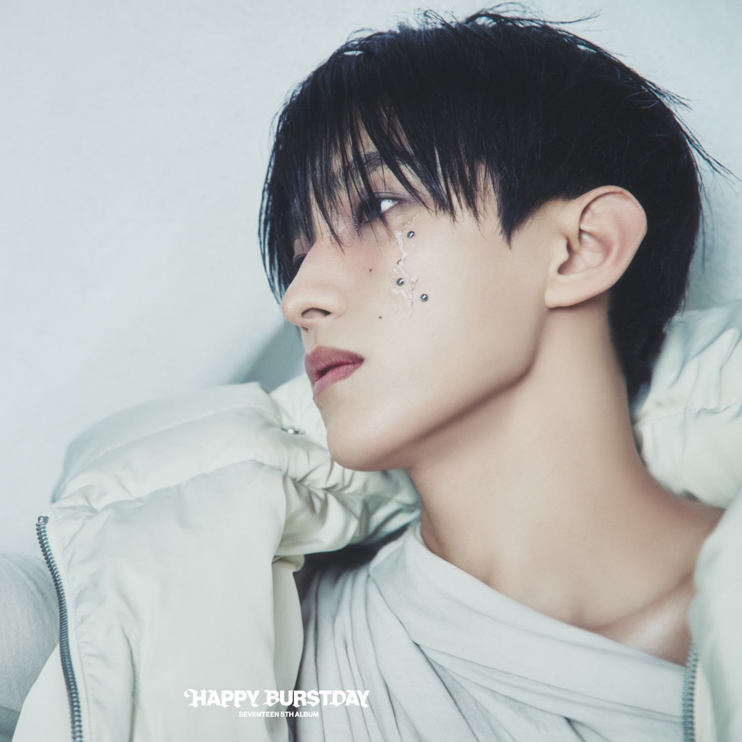 Recent activity shot of SEVENTEEN