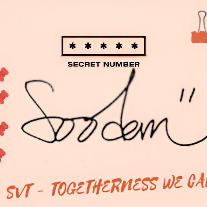 Recent activity shot of Soodam (SECRET NUMBER)