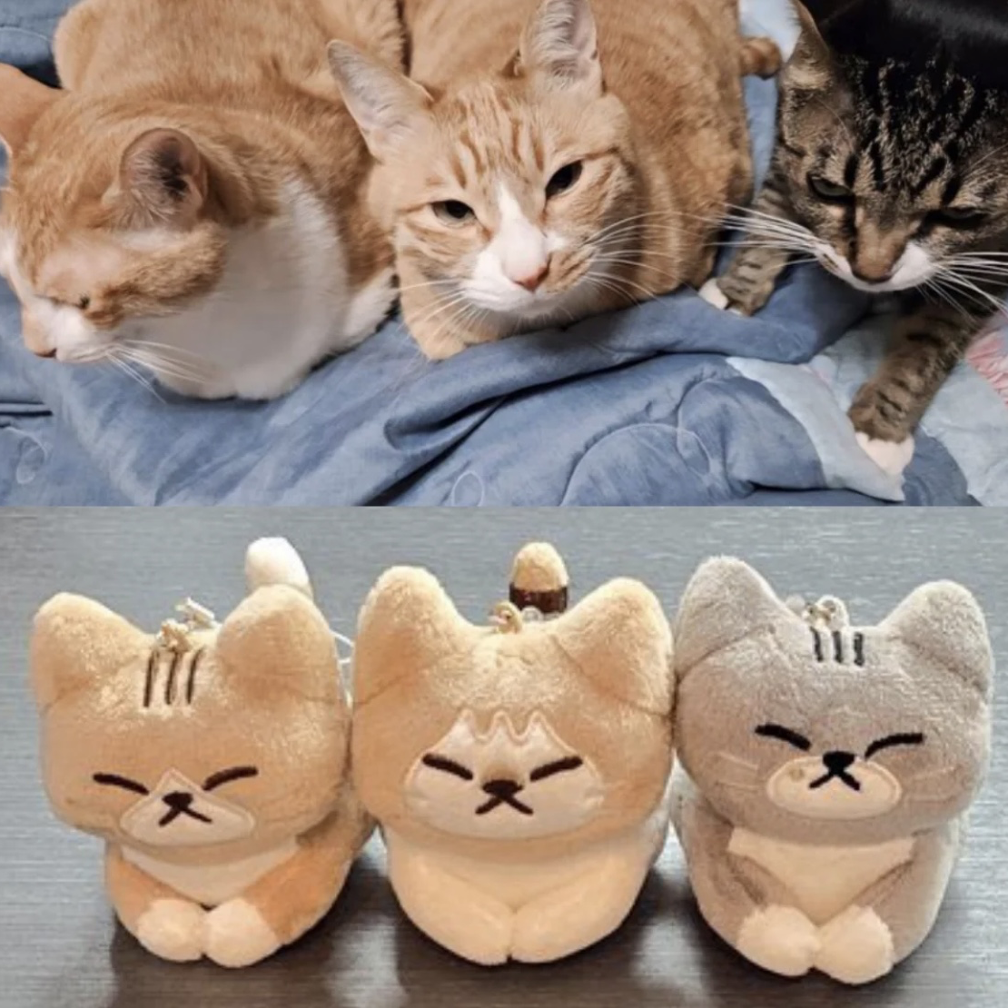 Latest photo of Lee Know (Stray Kids)