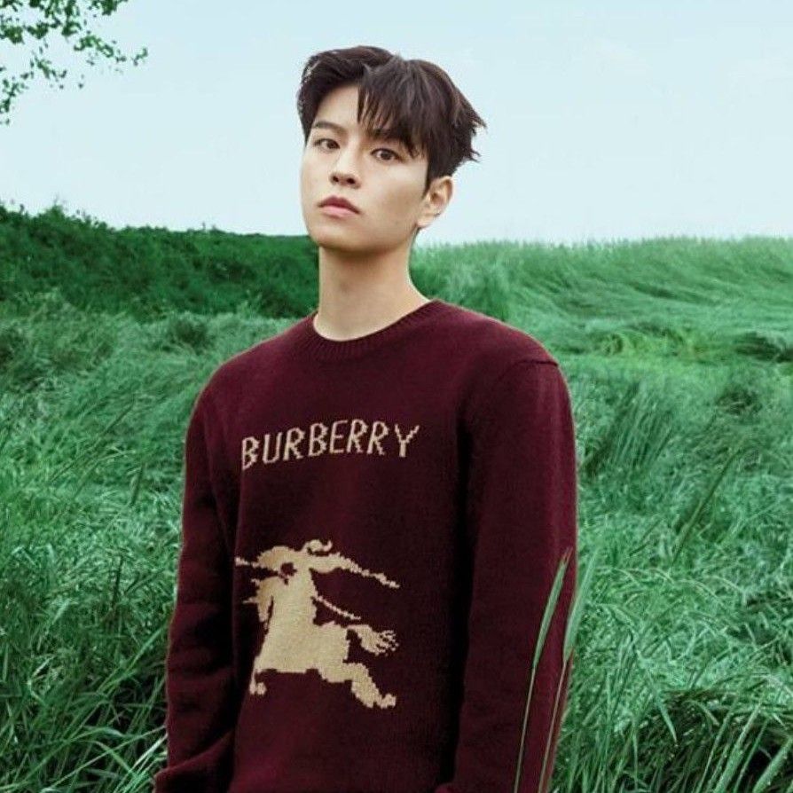 Recent activity shot of Seungmin (Stray Kids)
