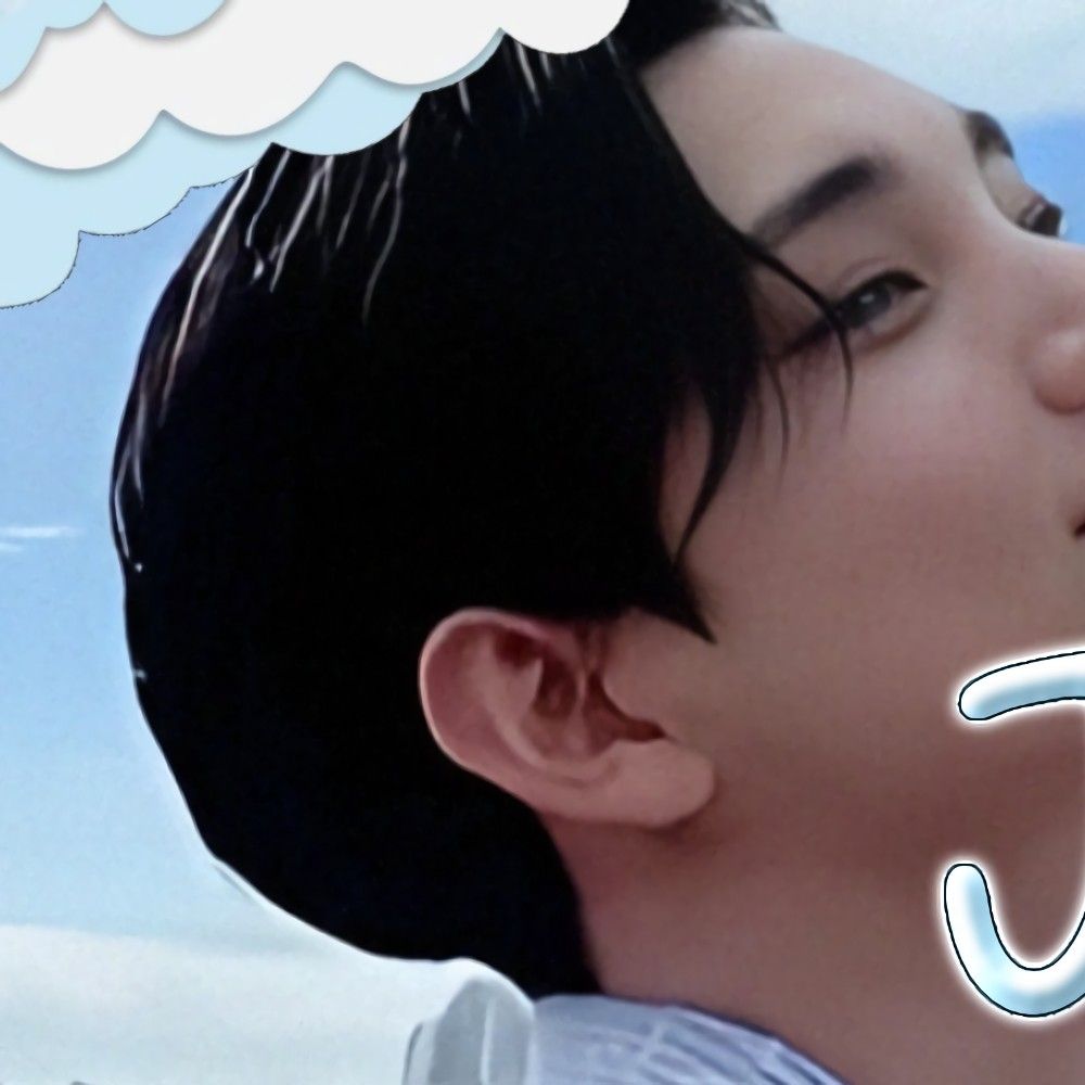 세븐틴 팬이 찍은 순간