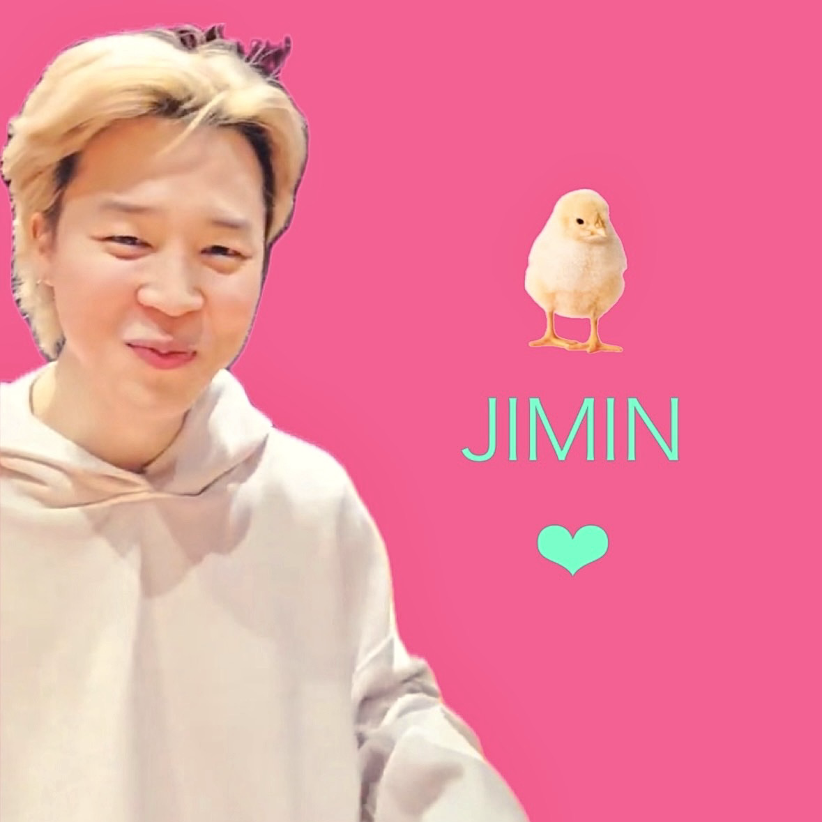 지민 (방탄소년단) 팬이 찍은 순간