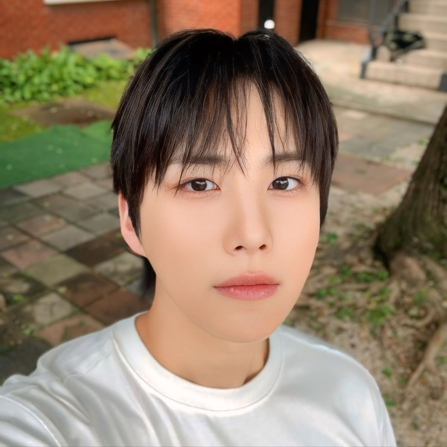 Recent activity shot of Wow (A.C.E)