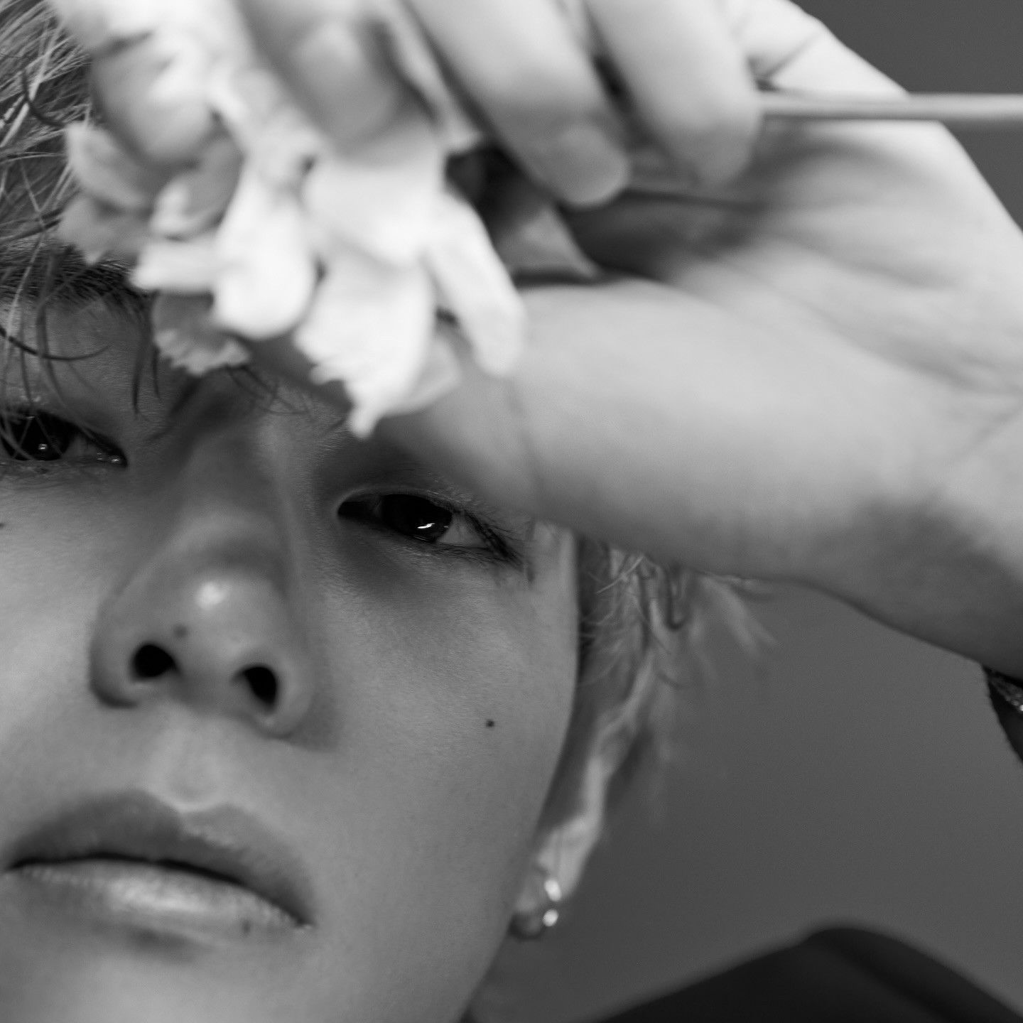 방탄소년단 팬이 찍은 순간