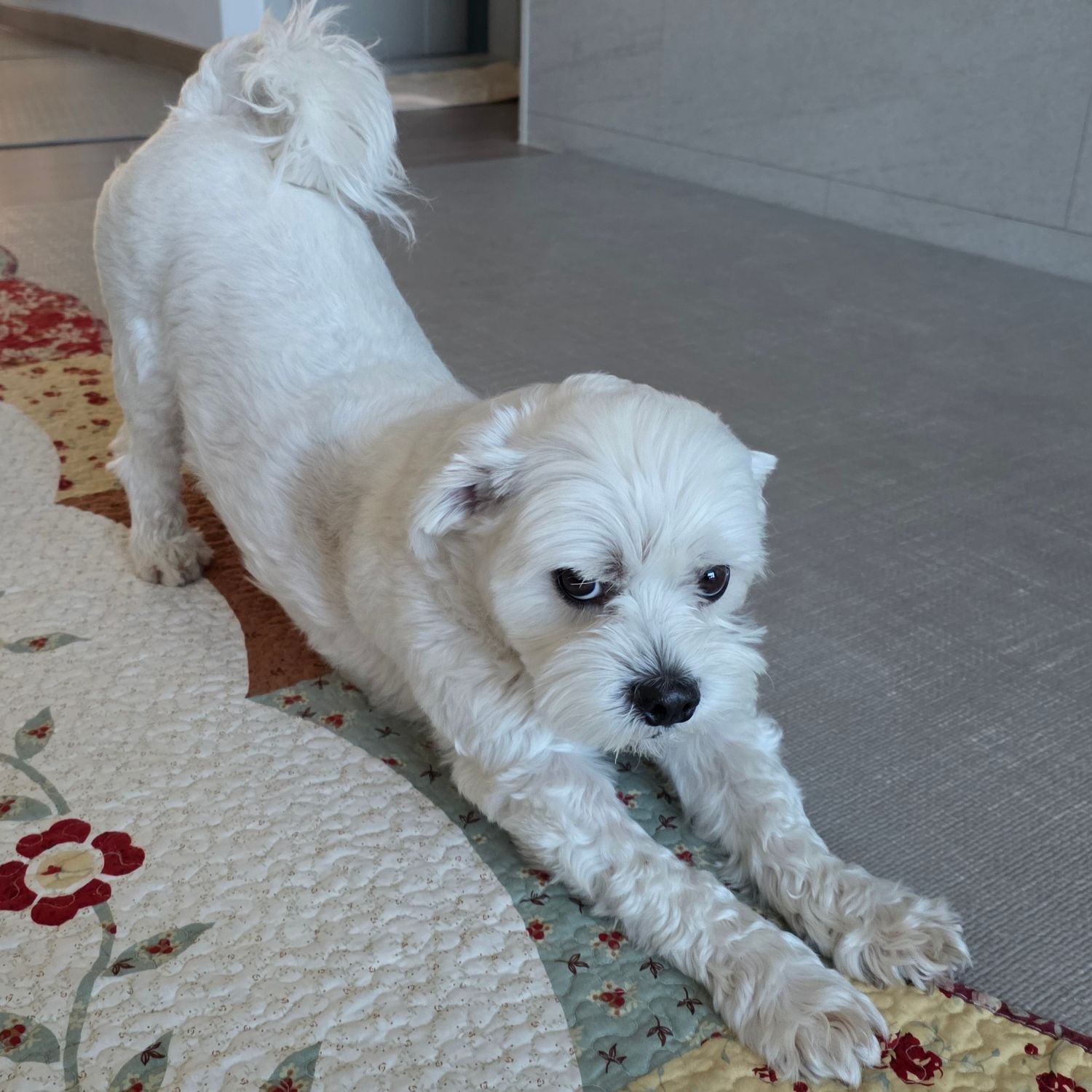 Recent activity shot of Jungwon (ENHYPEN)