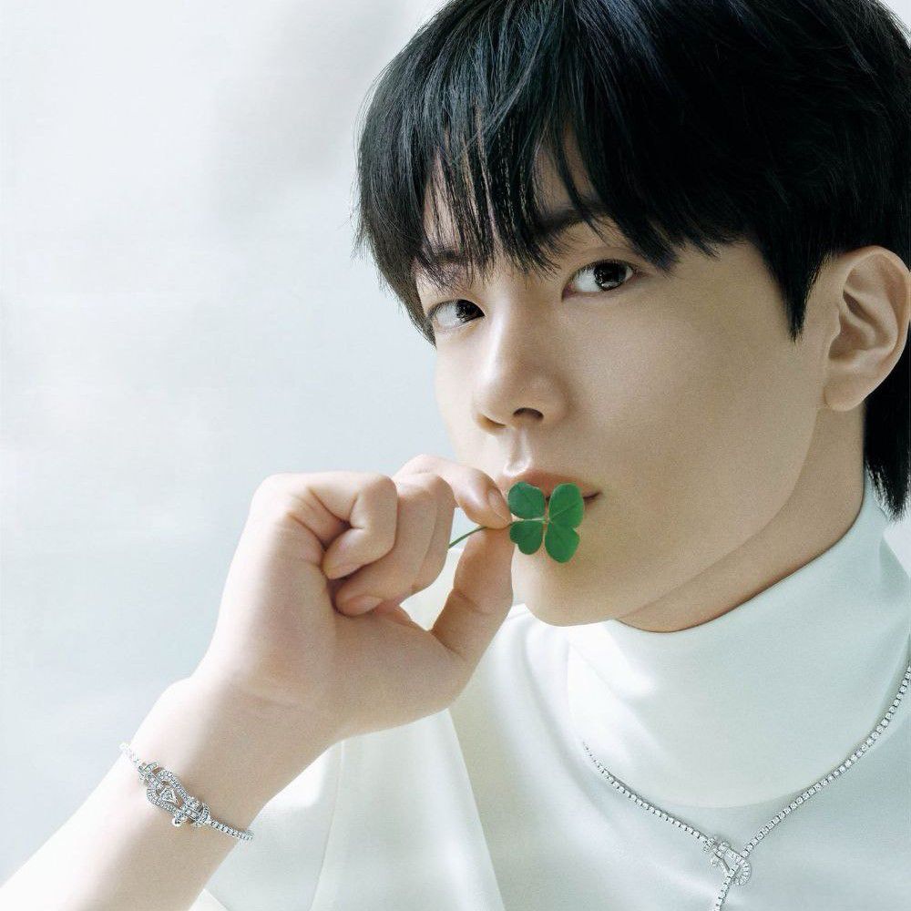 A moment captured by Jin (BTS)'s fan