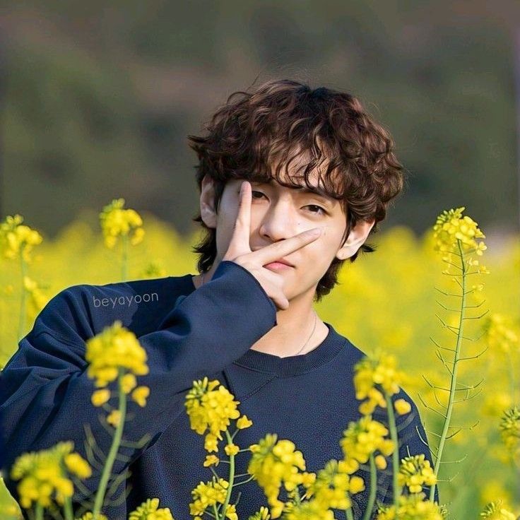 뷔 (방탄소년단)의 비하인드 컷