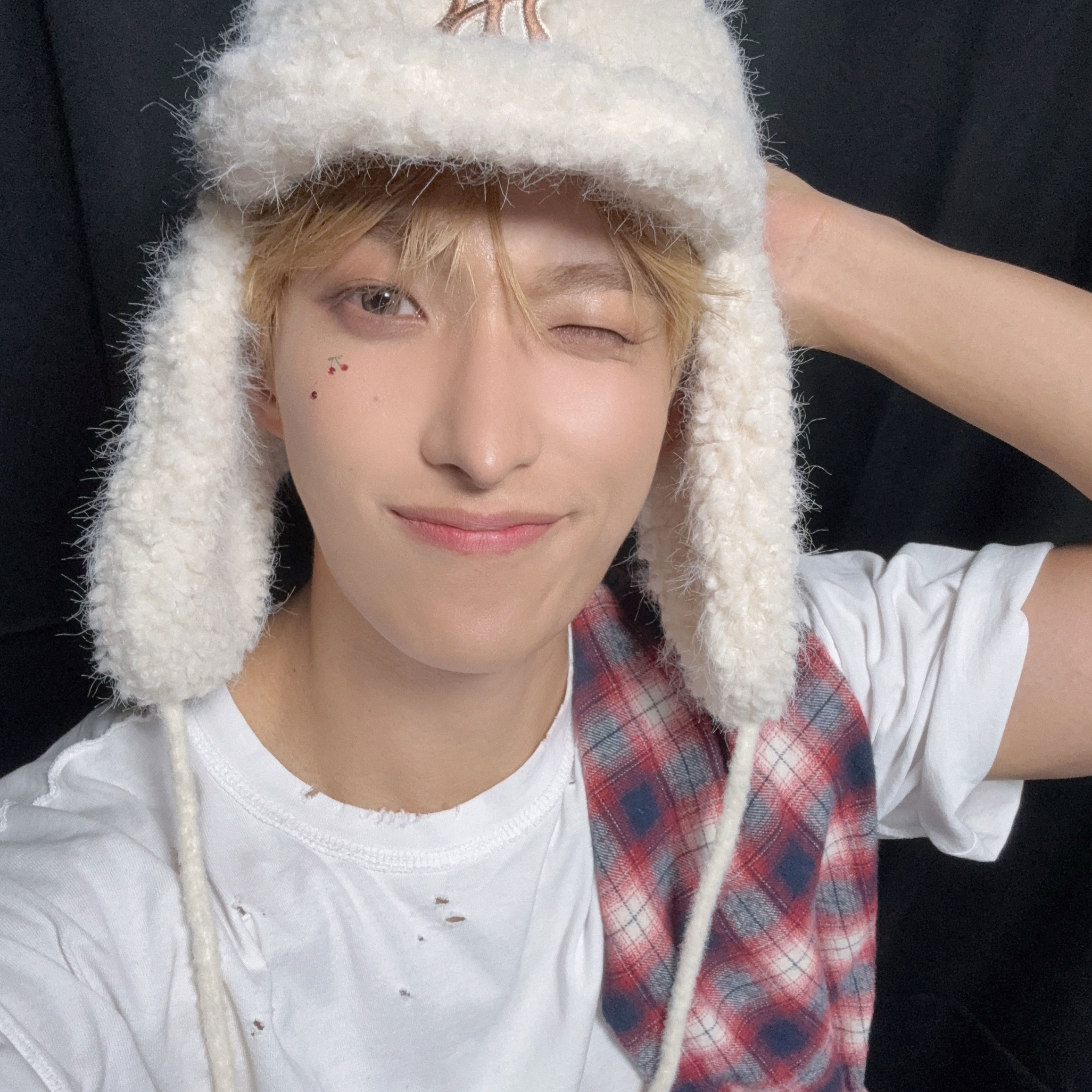 A moment captured by DK (SEVENTEEN)'s fan