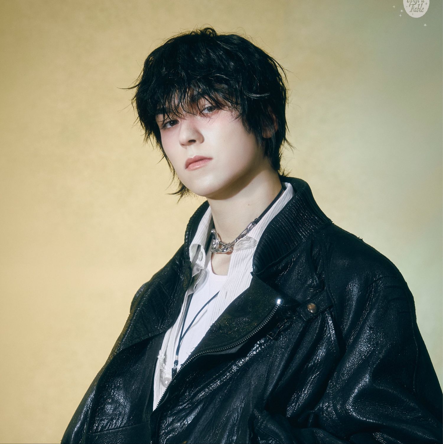 세븐틴 팬이 찍은 순간