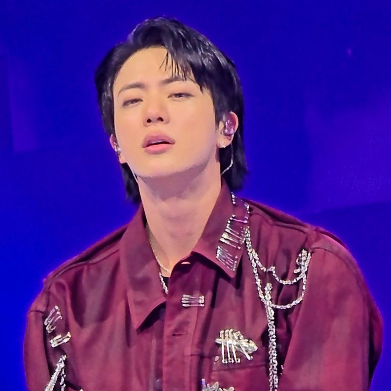 A moment captured by Jin (BTS)'s fan