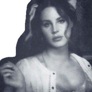 A moment captured by Lana del Rey's fan