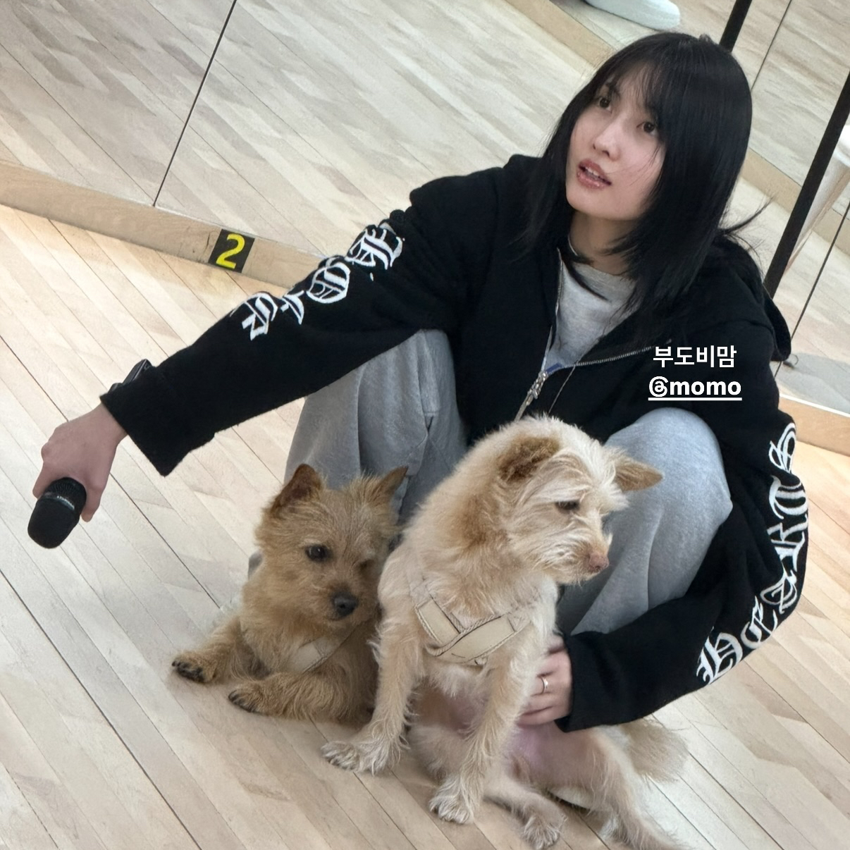 Behind-the-scenes cut of Momo (TWICE)