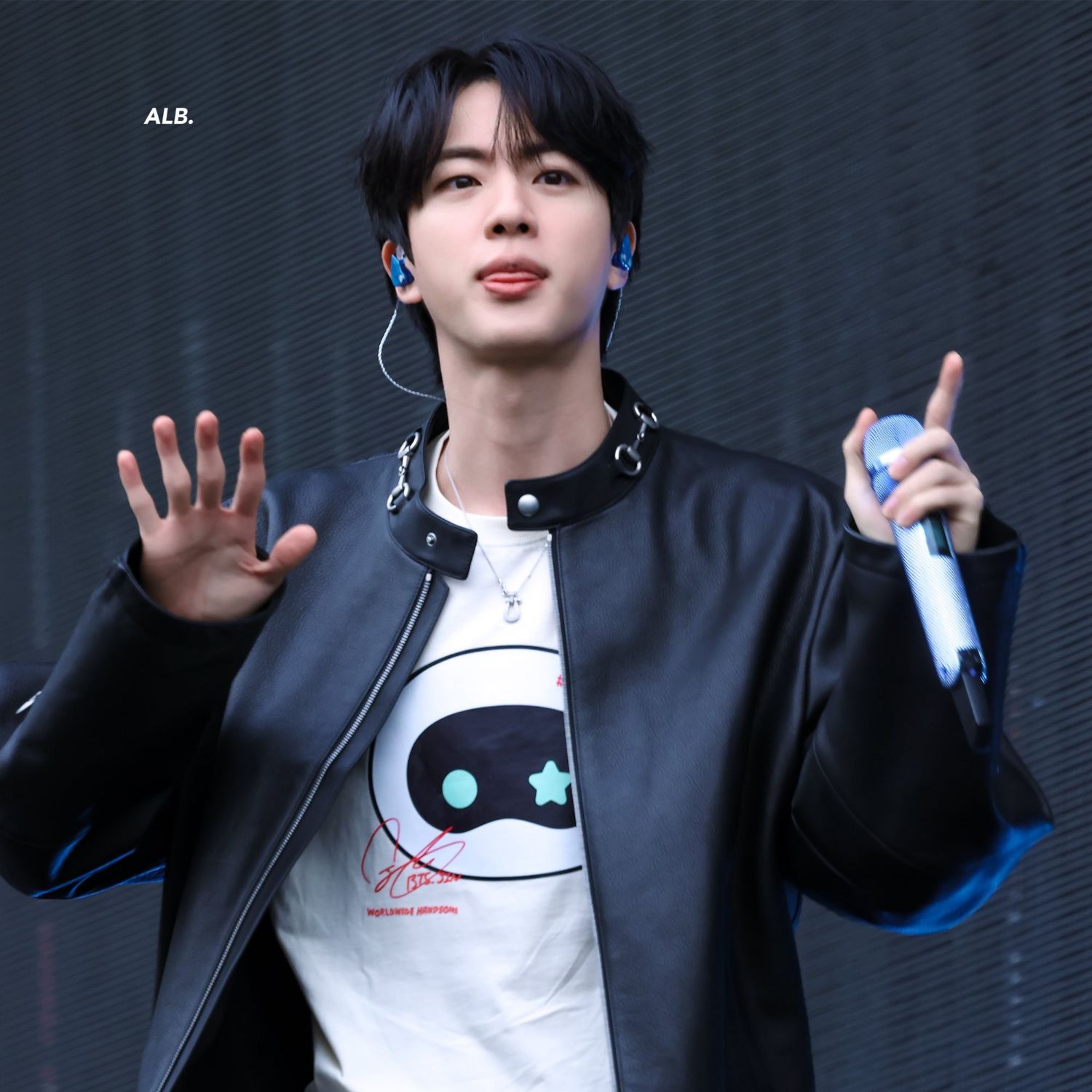 A moment captured by Jin (BTS)'s fan