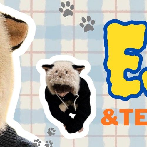 A moment captured by EJ (&TEAM)'s fan