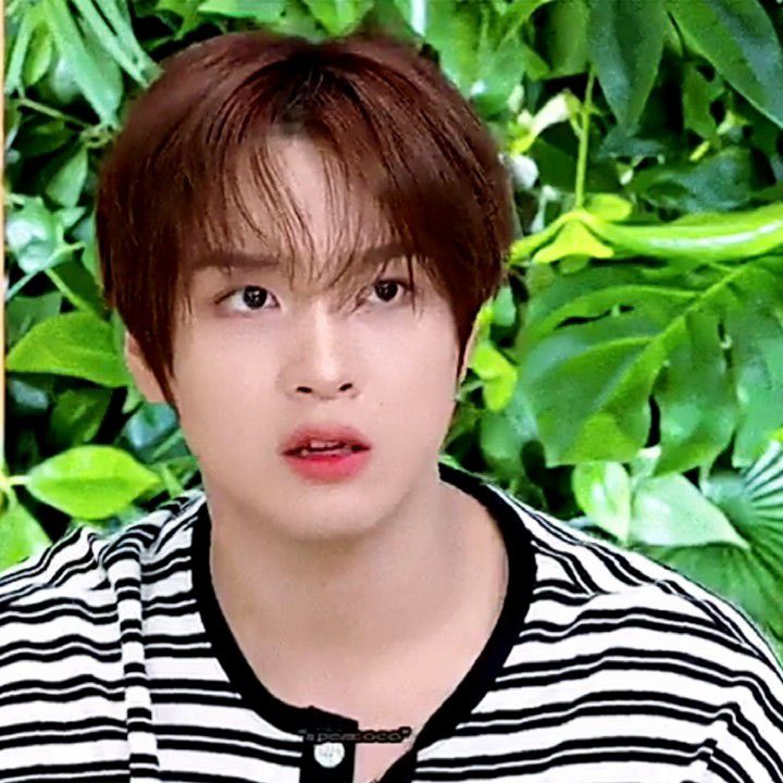 Recent activity shot of Haechan (NCT 127, NCT DREAM)