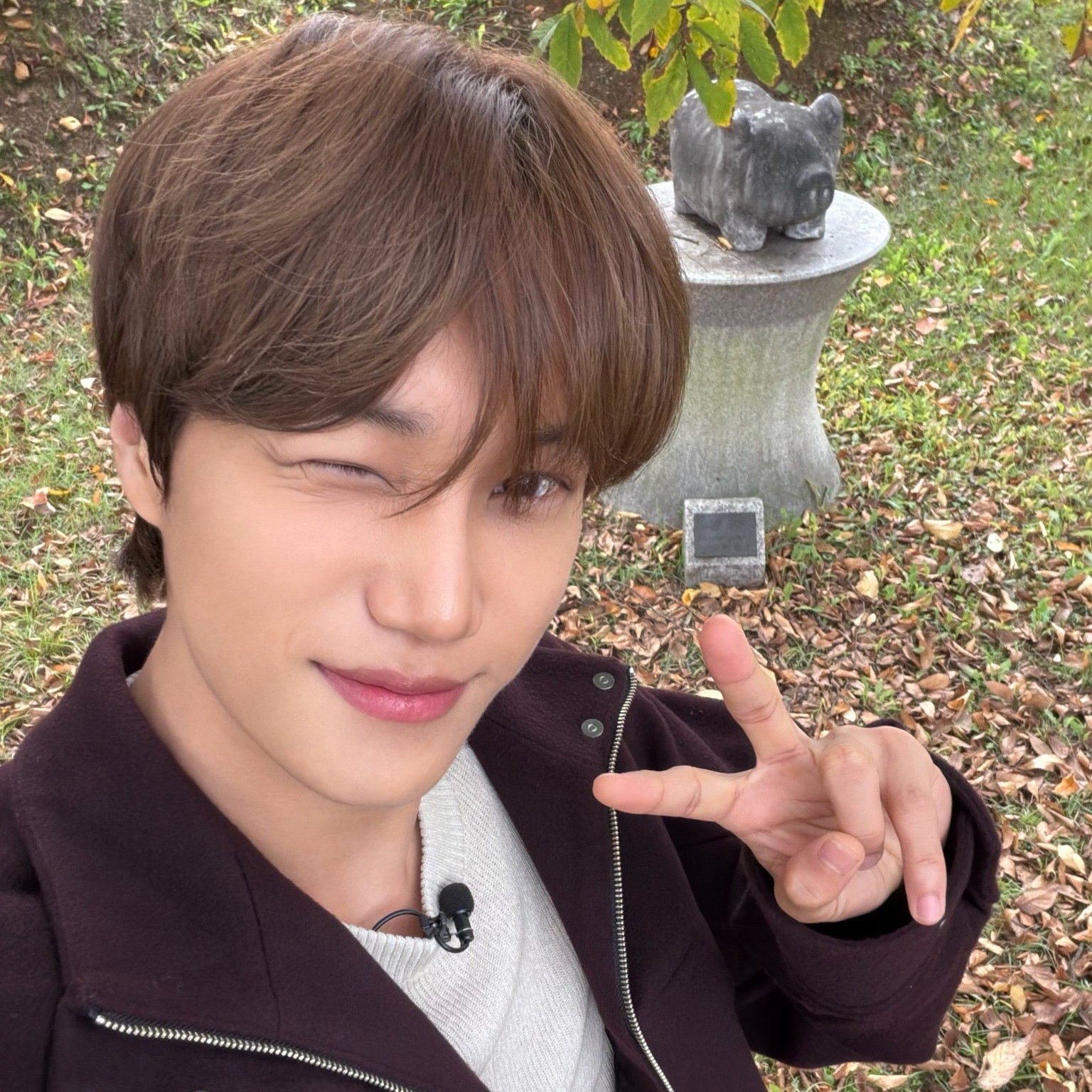 Latest photo of Kai (EXO)