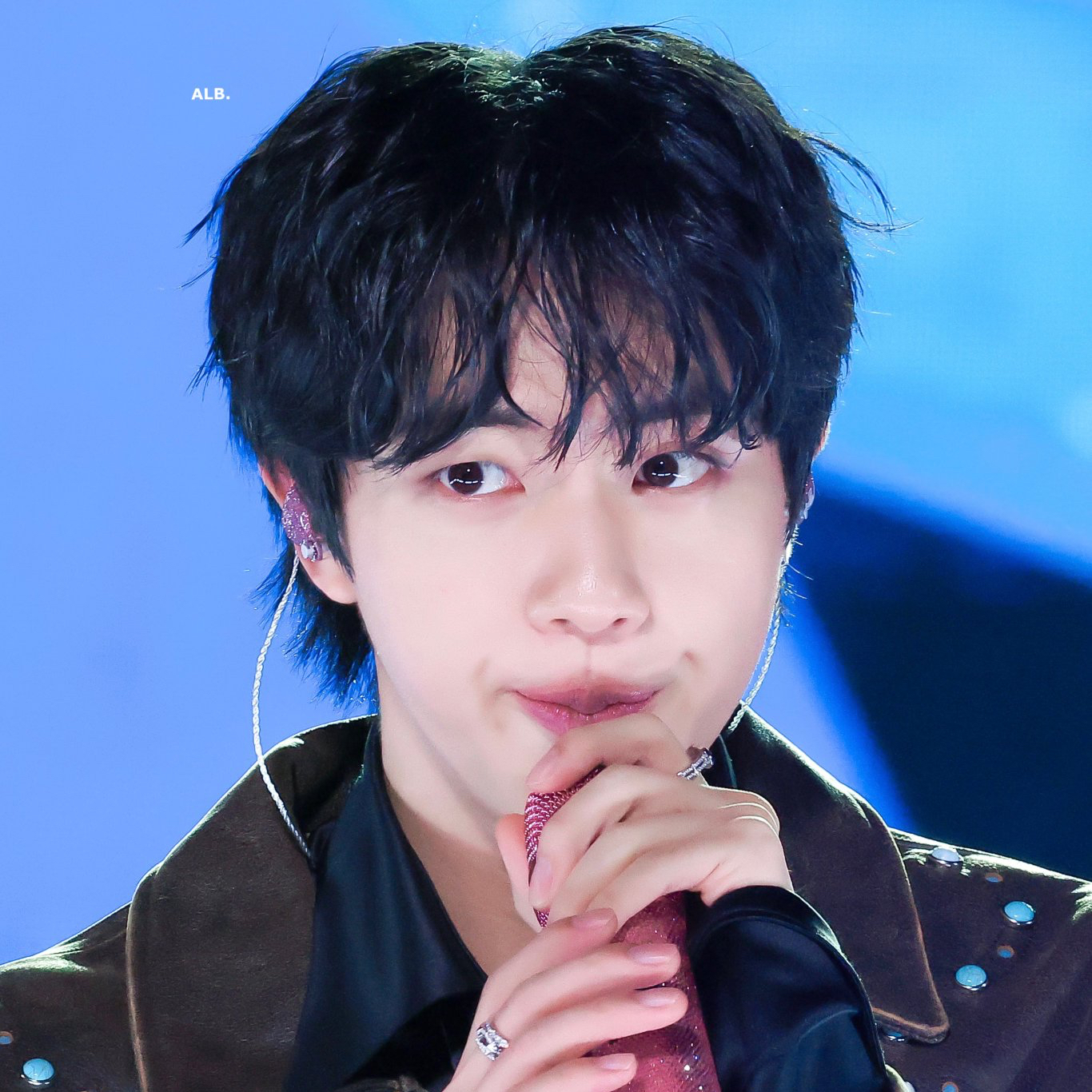 진 (방탄소년단) 팬이 찍은 순간