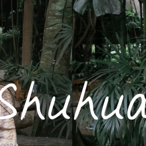 Recent activity shot of Shuhua (i-dle)