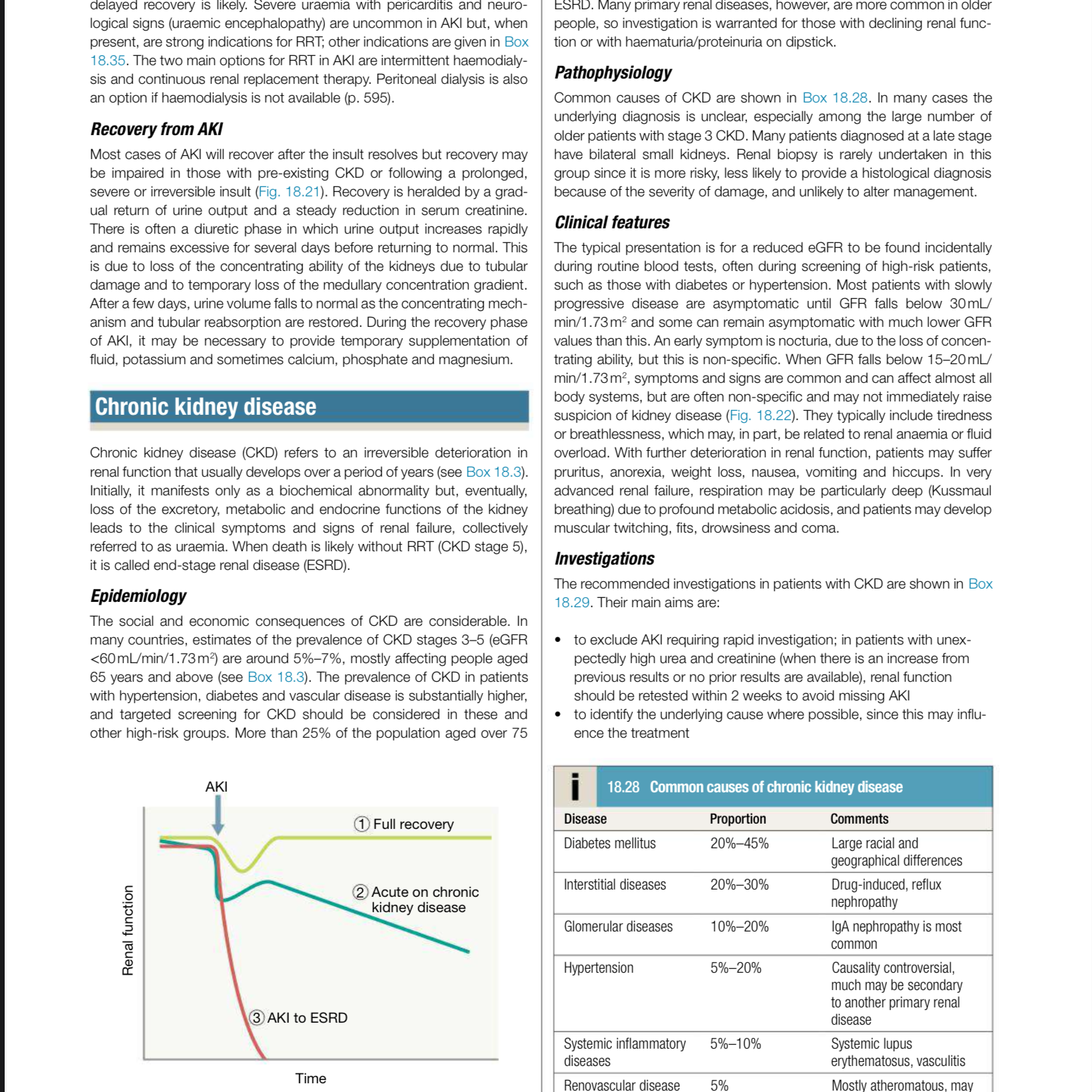 제니 (BLACKPINK) 팬이 찍은 순간