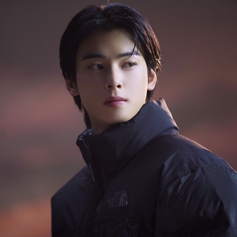 ASTRO粉絲拍下的瞬間