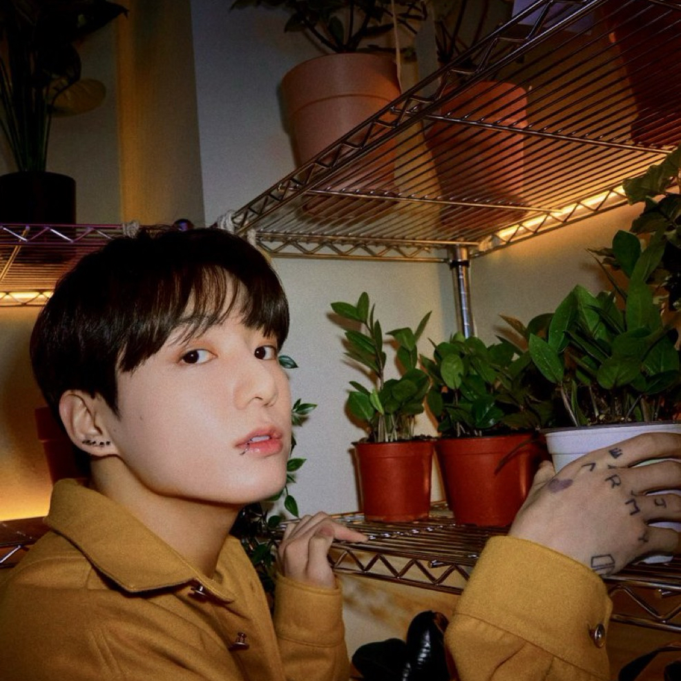 A moment captured by Jungkook (BTS)'s fan