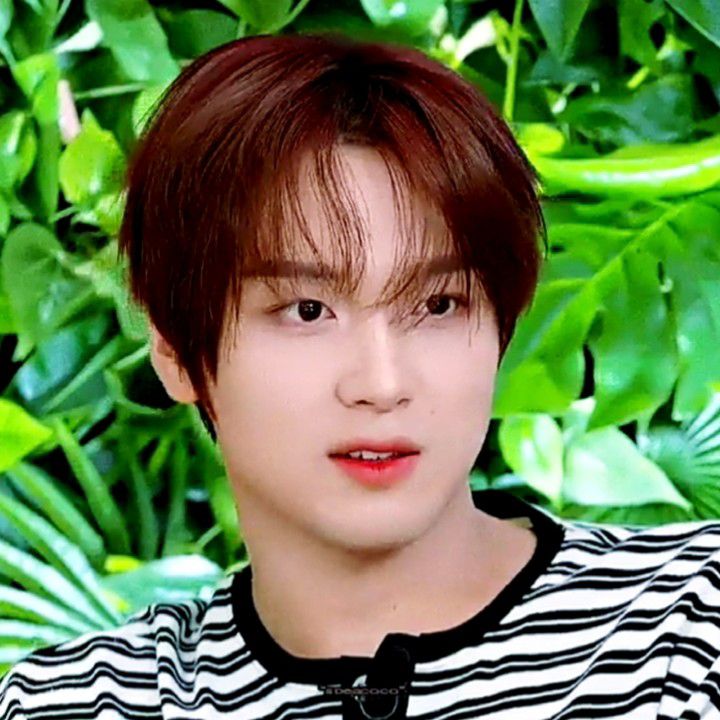 Latest photo of Haechan (NCT 127, NCT DREAM)