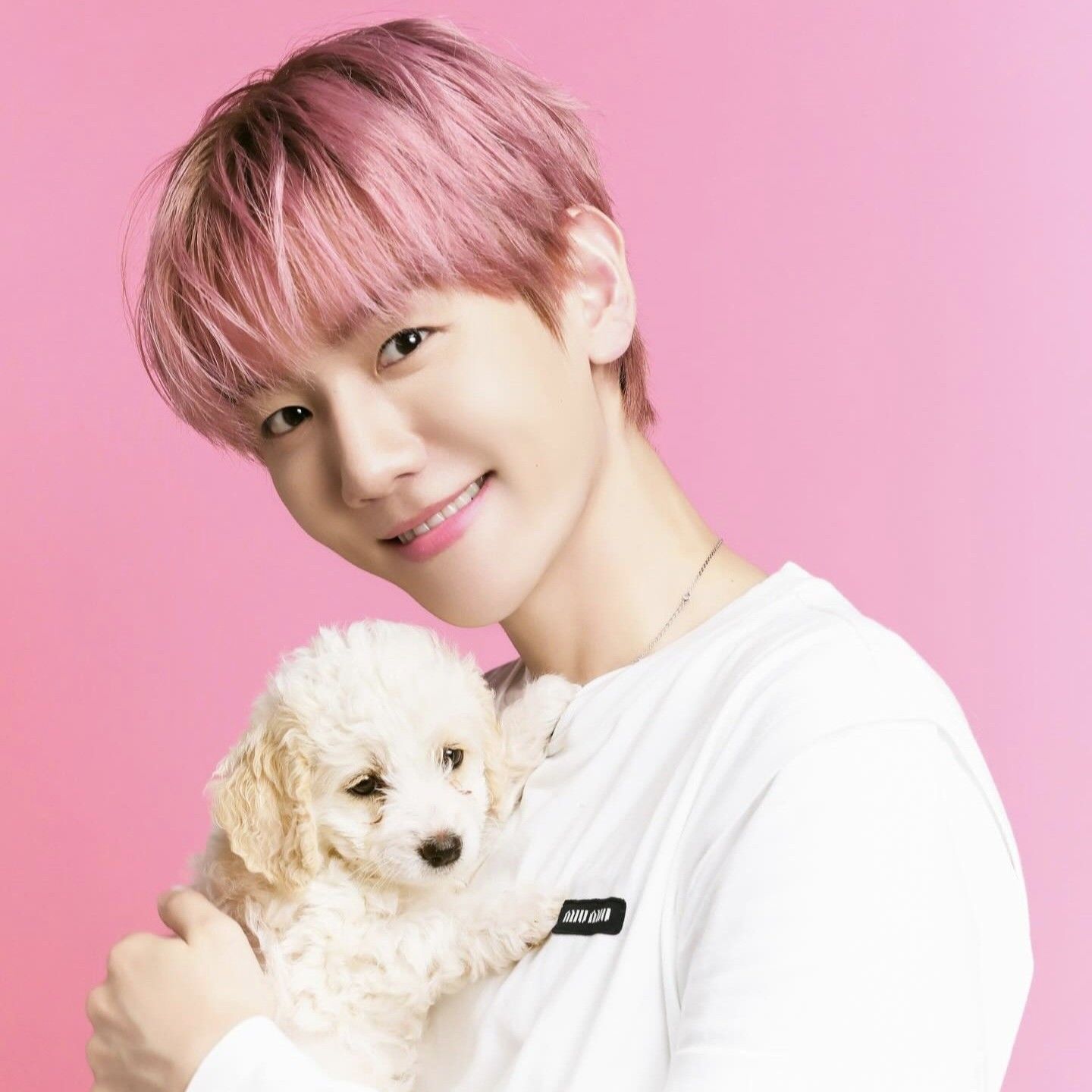 A moment captured by Baekhyun (EXO)'s fan