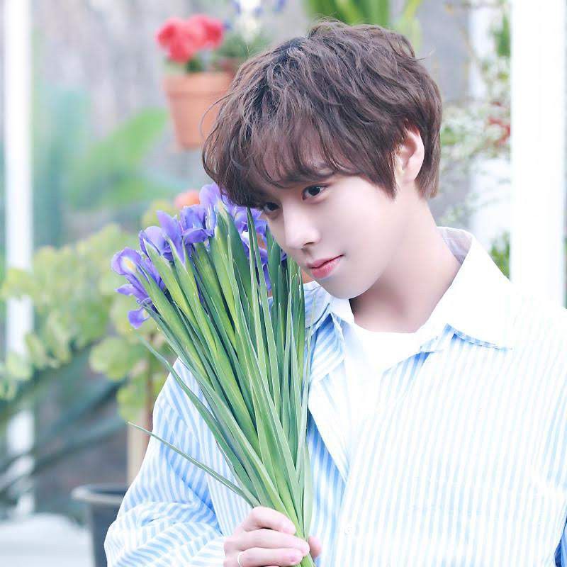 Recent activity shot of Park Jihoon