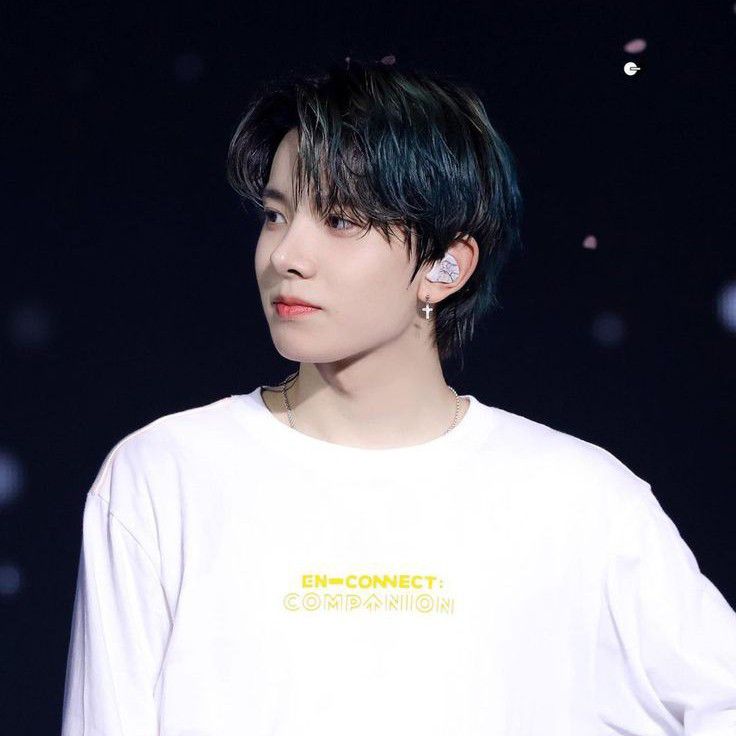 ENHYPENファンが撮った瞬間