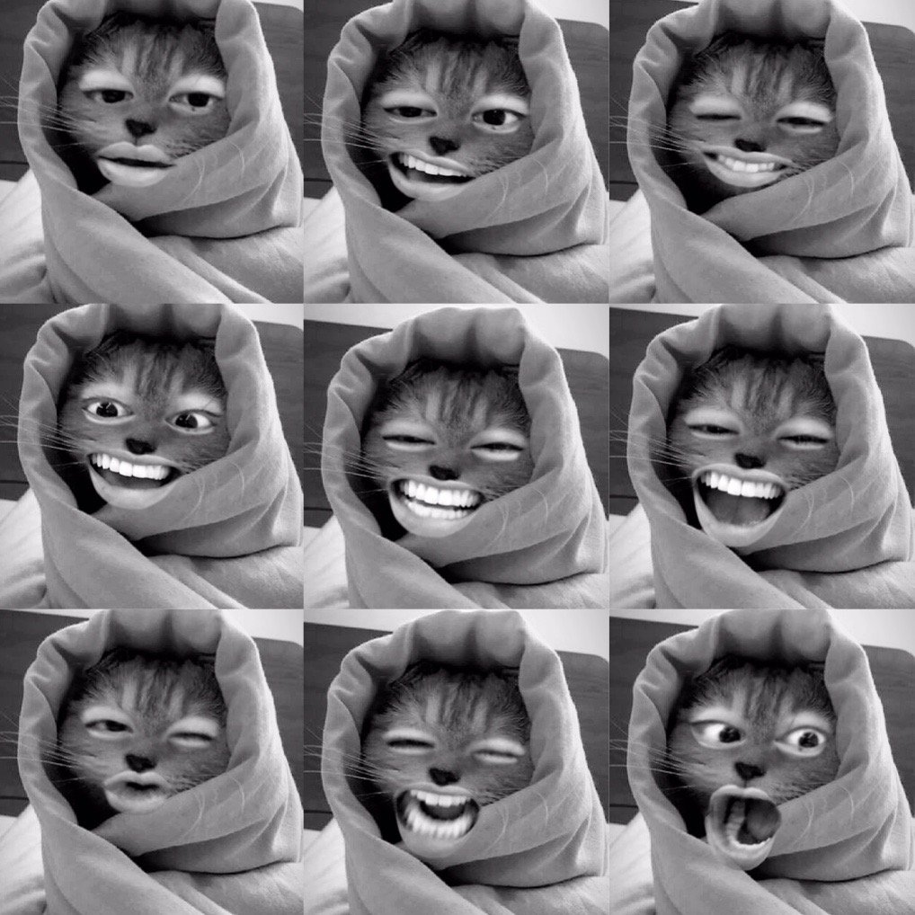 V (BTS)ファンが撮った瞬間