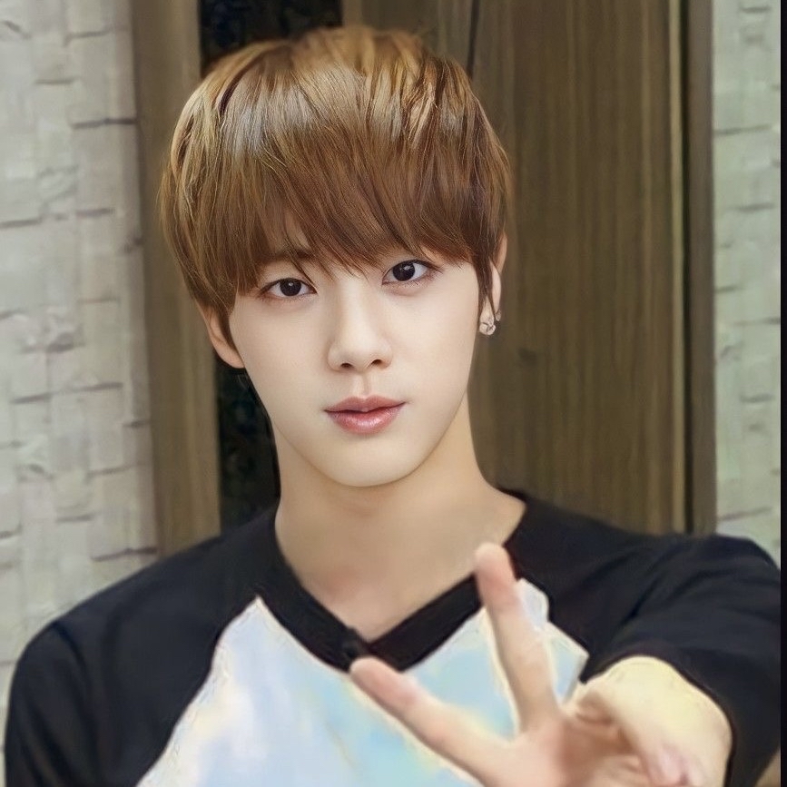 진 (방탄소년단) 팬이 찍은 순간