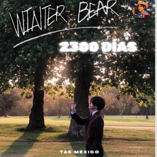 V (BTS)ファンが撮った瞬間