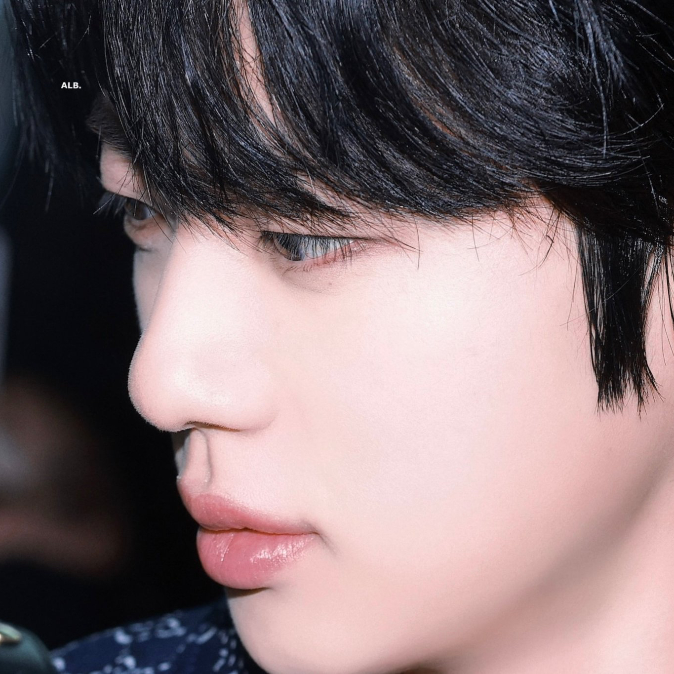 A moment captured by Jin (BTS)'s fan