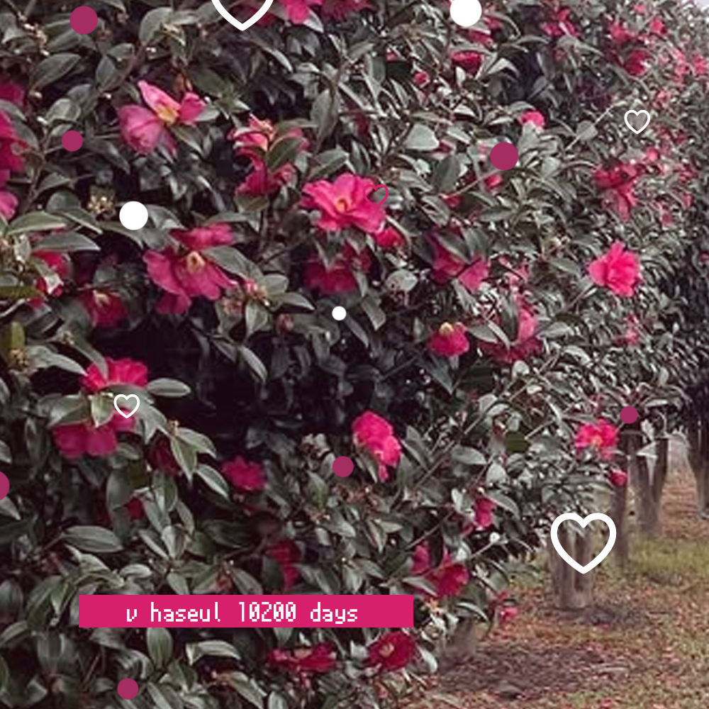 Behind-the-scenes cut of HaSeul (ARTMS)