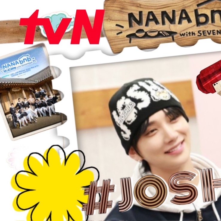 A moment captured by Joshua (SEVENTEEN)'s fan
