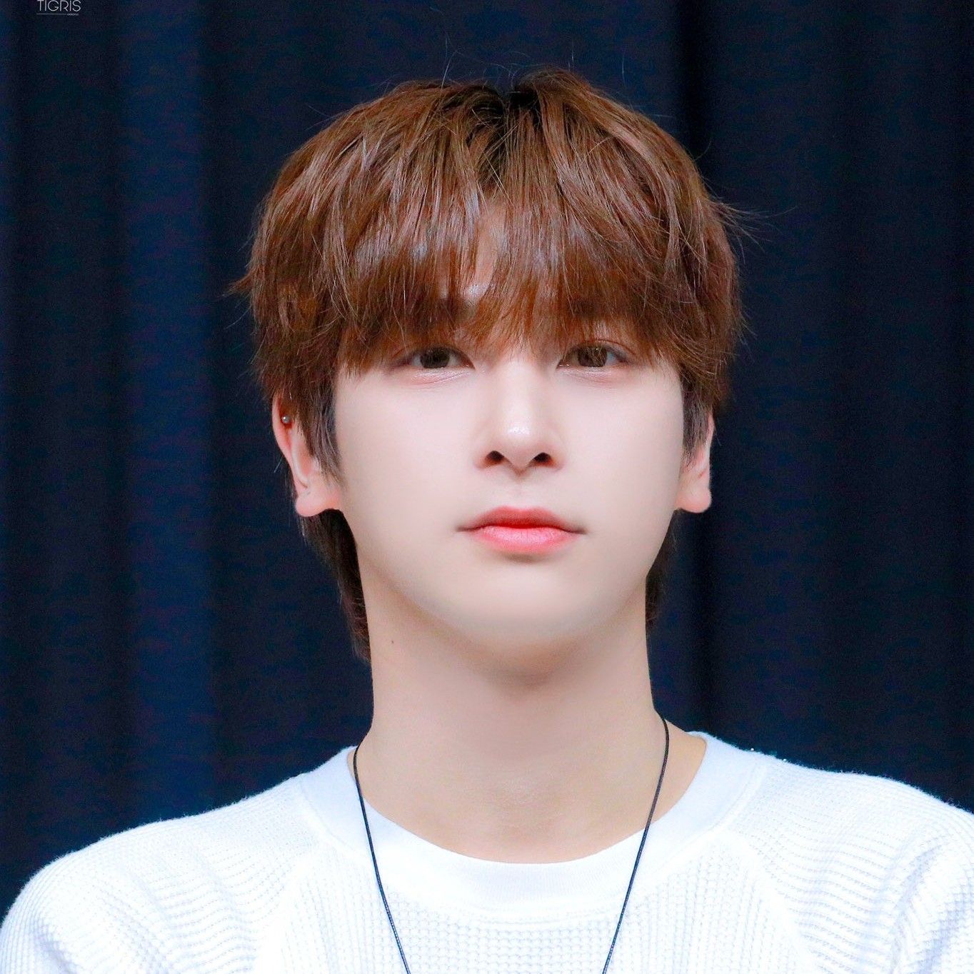 Recent activity shot of POLARIX