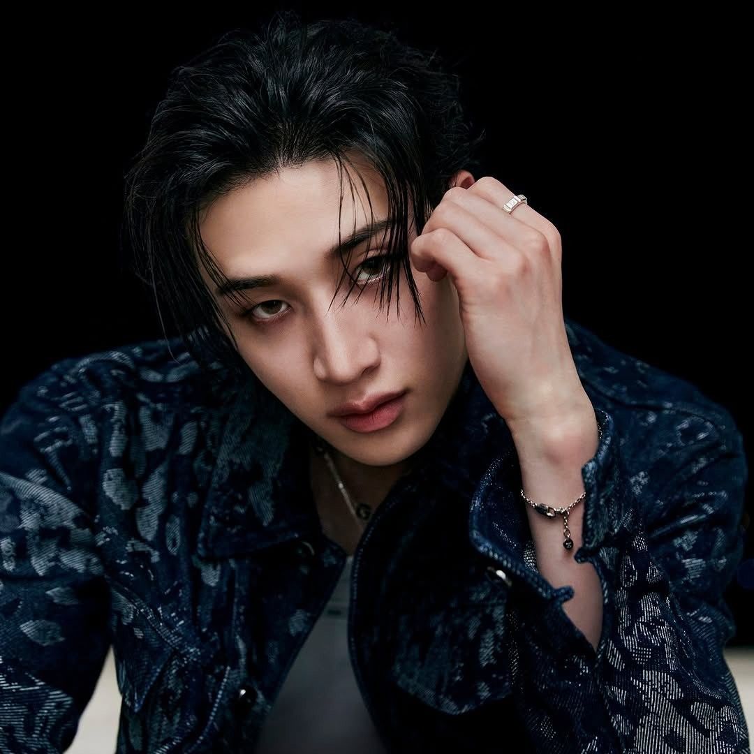 Stray Kids 팬이 찍은 순간