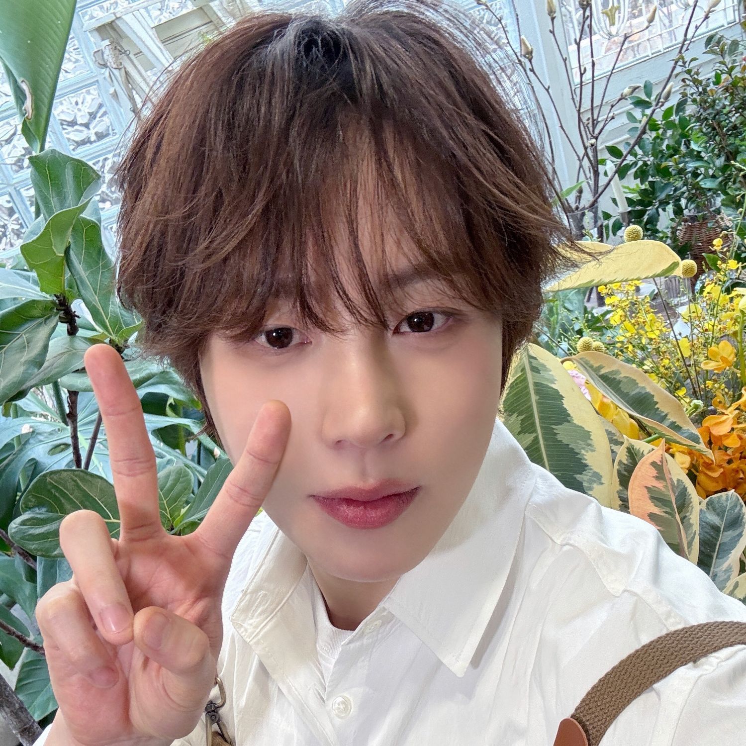 A moment captured by Ha Sungwoon's fan