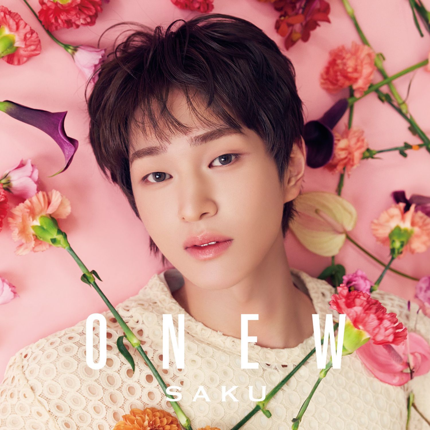 A moment captured by SHINee's fan