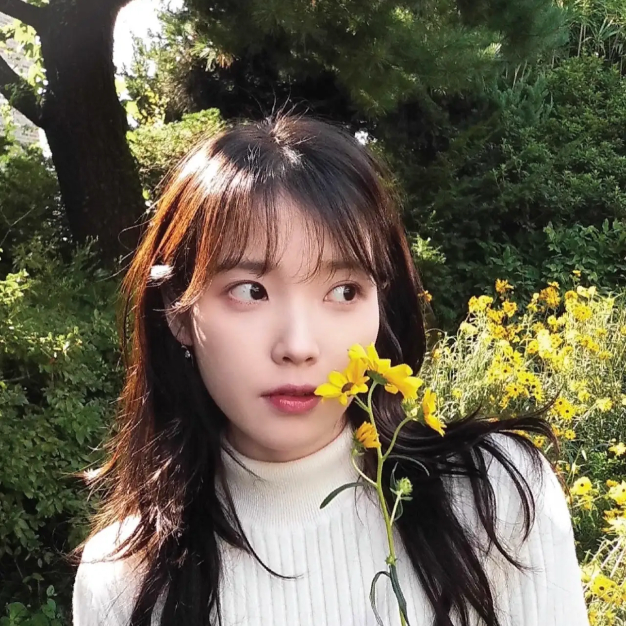 Behind-the-scenes cut of IU