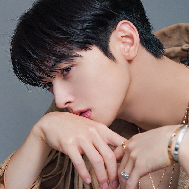 아스트로 팬이 찍은 순간